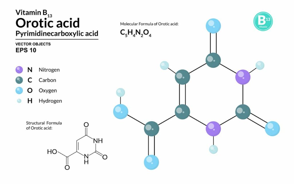 orotic acid vb 13