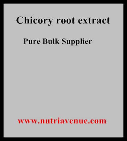 Chicory Root Extract