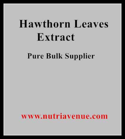 Hawthown Leaves