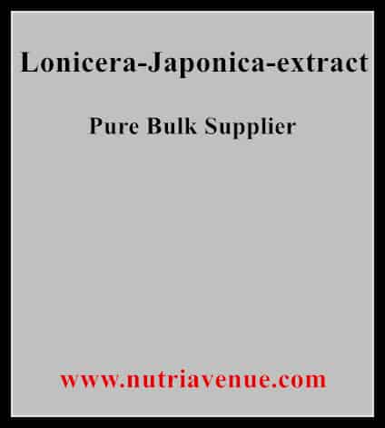 Lonicera Japonica Extract