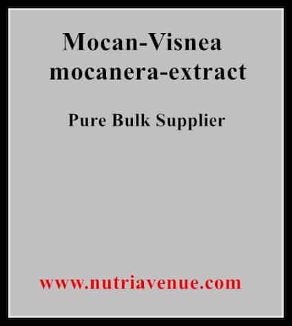 Mocan Visnea Mocanera Extract
