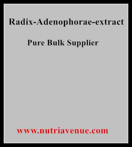 Radix Adenophorae Extract