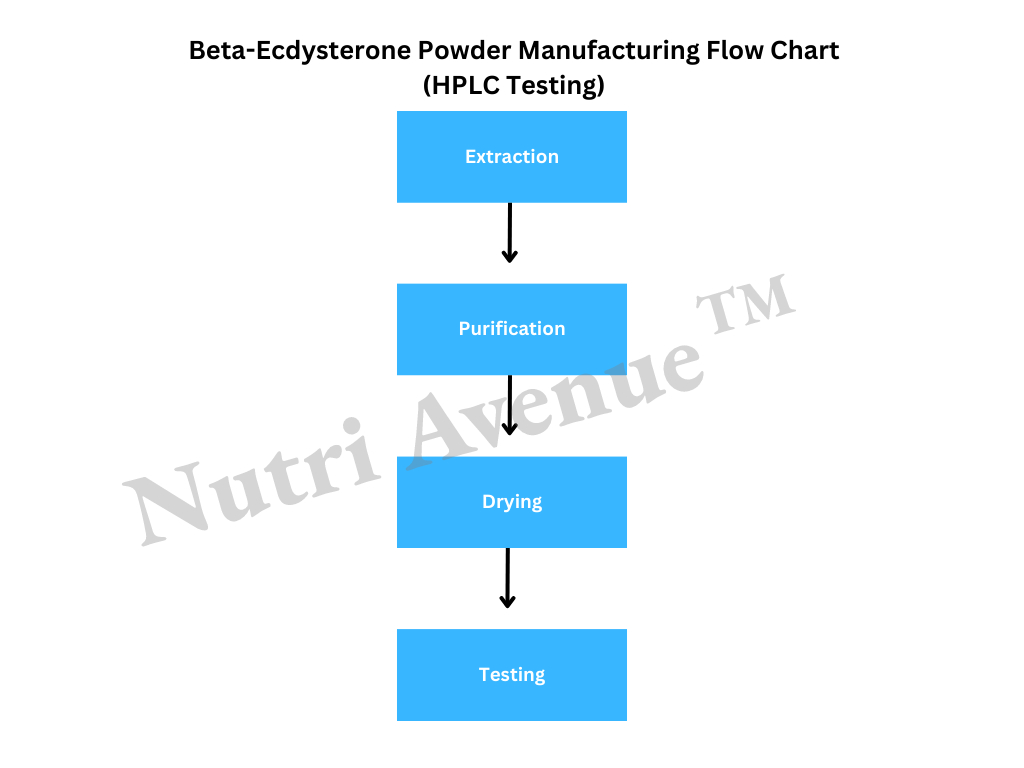 beta ecdysterone flow chart