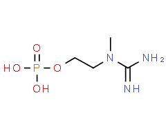 Creatinol-O-Phosphate C4H12N3O4P