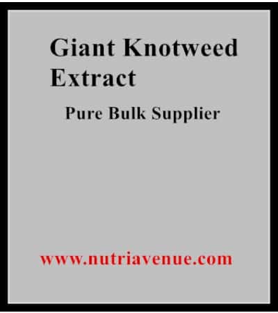giant knotweed extract