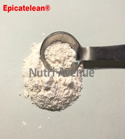 Epicatechin 90% (Epicatelean®)