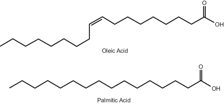 Fatty Acids structure