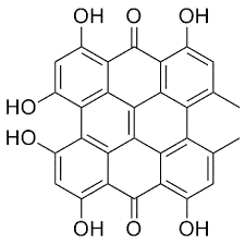 Hypericin structure