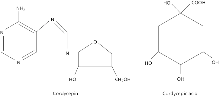 Cordycepin and Cordycepic acid