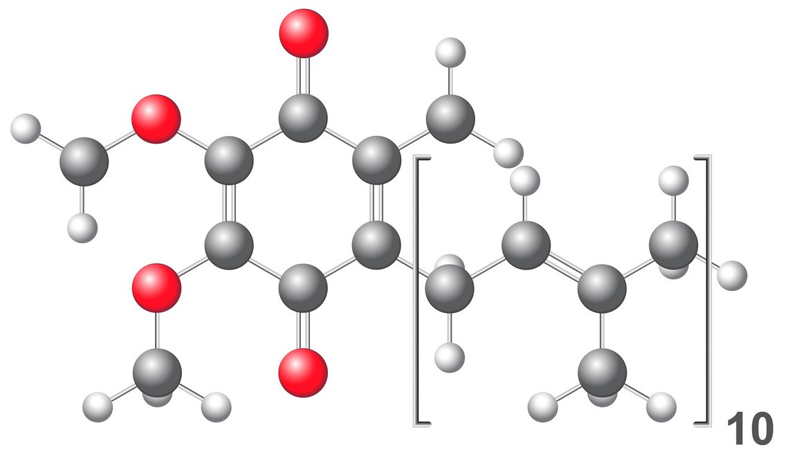 CoQ10 powder structure