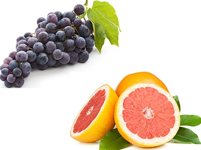 Grape seed extract and grapefruit seed extract
