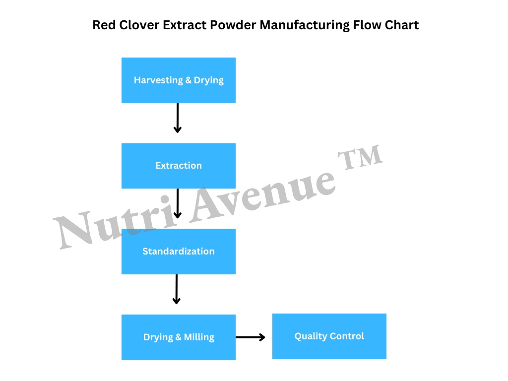 red clover extract flow chart