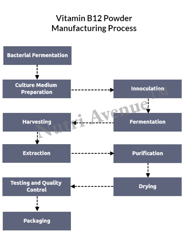 B12 powder manufacturing process
