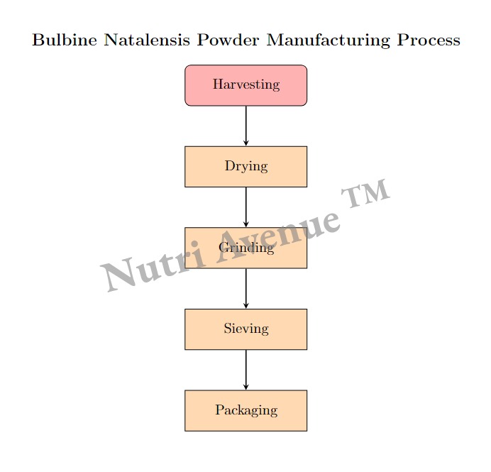 Bulbine Natalensis Powder manufacturing process