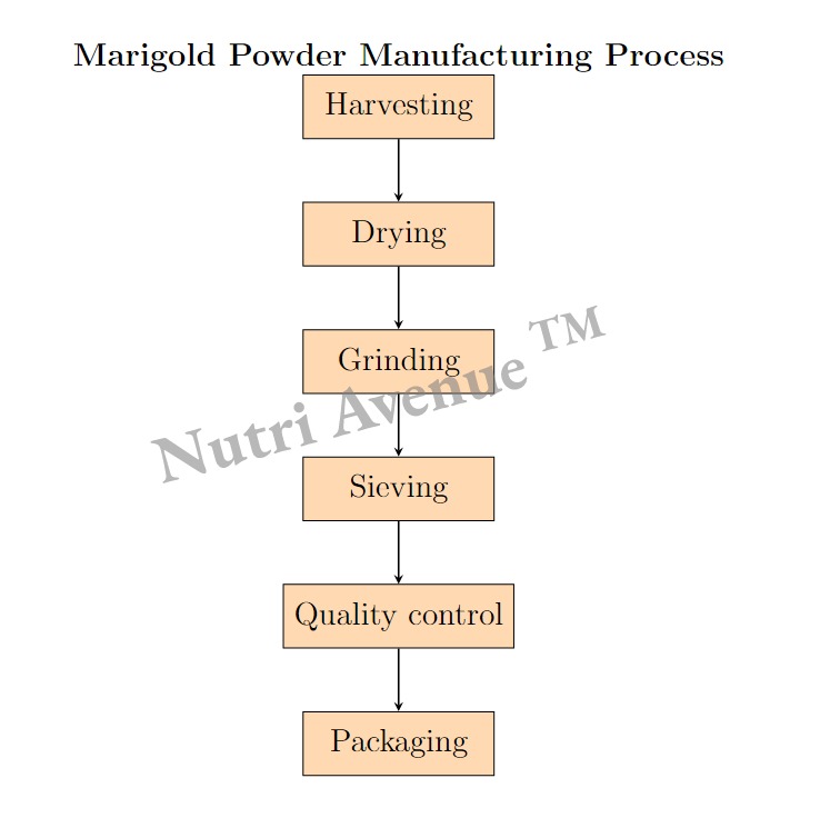 Marigold Extract powder manufacturing process