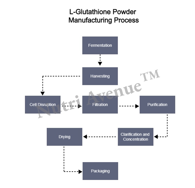 Reduced L-Glutathione Powder manufacturing process