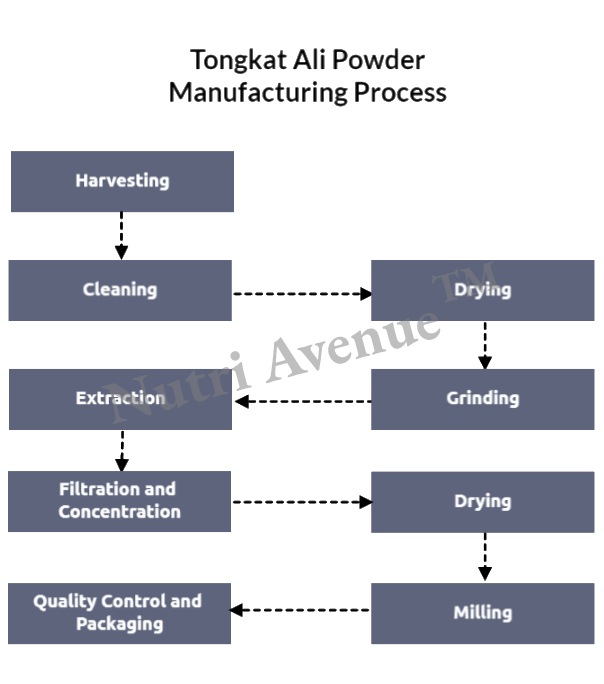 Tongkat ali powder manufacturing process