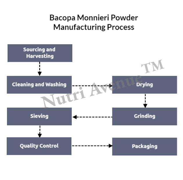 bacopa monnieri powder manufacturing process