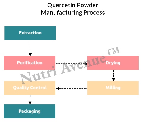 bulk quercetin powder manufacturing process