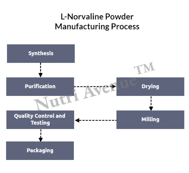 l norvaline powder manufacturing process