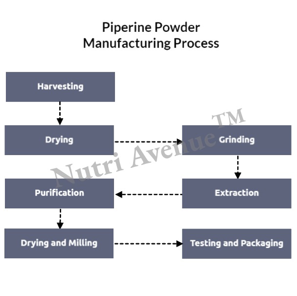 piperine powder manufacturing process