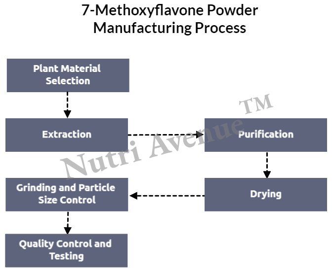 7-Methoxyflavone Powder Manufacturing Process