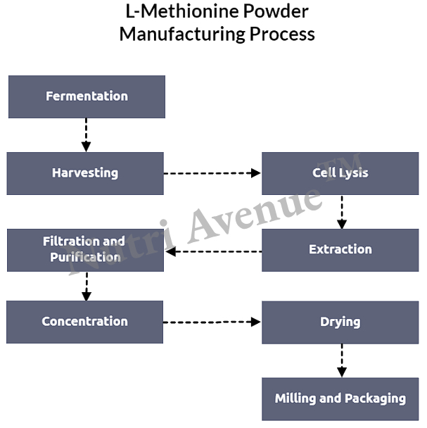 L-methionine powder manufacturing process