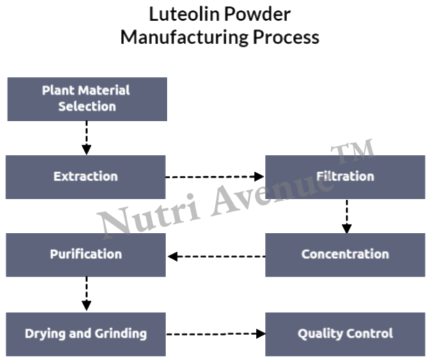 Luteolin powder manufacturing process