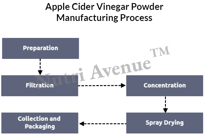 apple cider vinegar manufacturing process