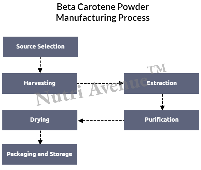 beta carotene powder manufacturing process