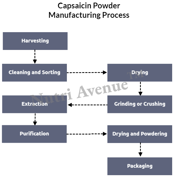 capsaicin powder manufacturing process