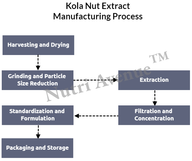 kola nut powder extract manufacturing process