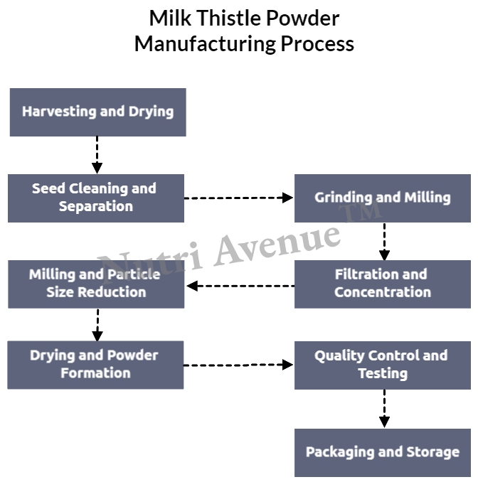 milk thistle powder extract manufacturing process