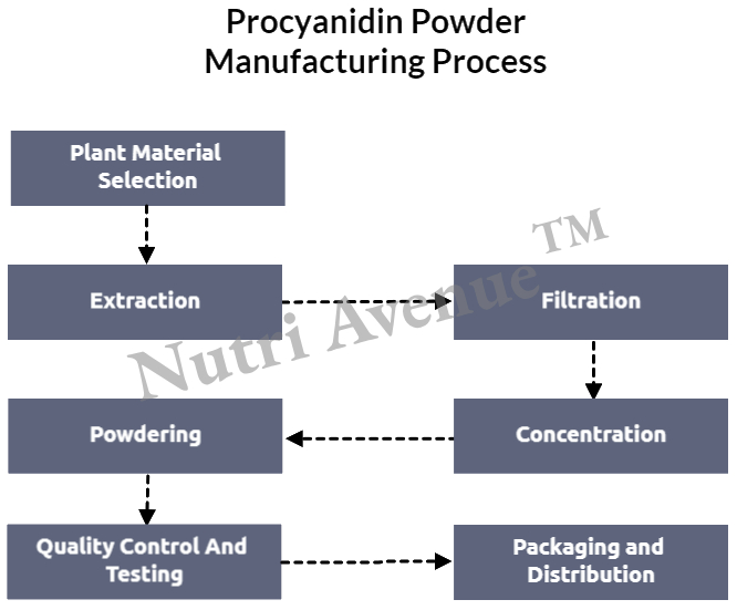 procyanidin powder manufacturing process