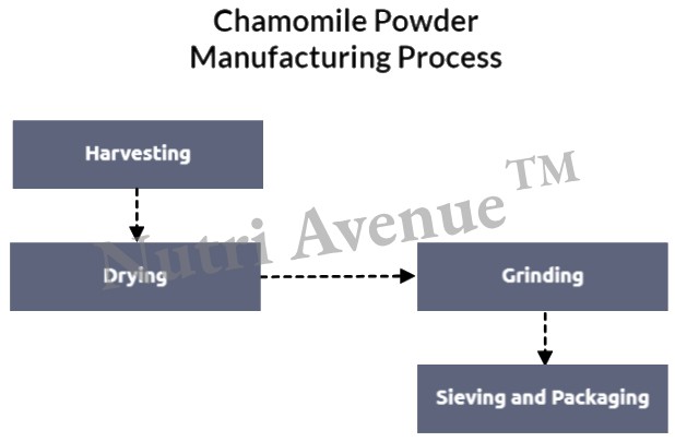 Chamomile Powder Manufacturing Process