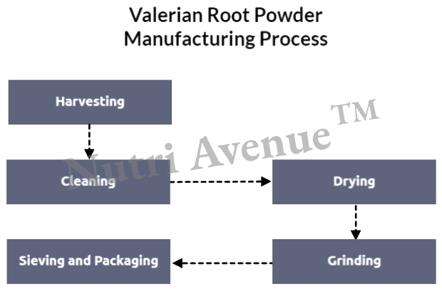 Valerian Root Powder Manufacturing Process