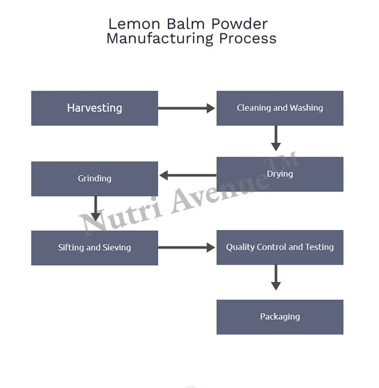 lemon balm powder manufacturing process