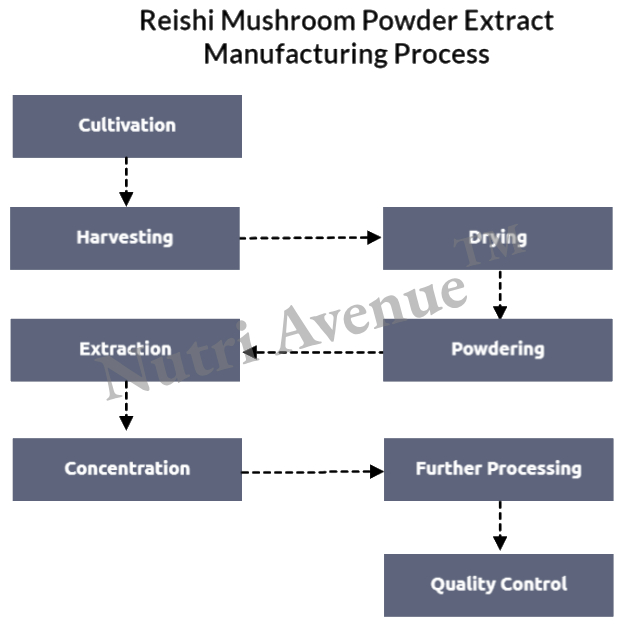reishi mushroom extract powder manufacturing process