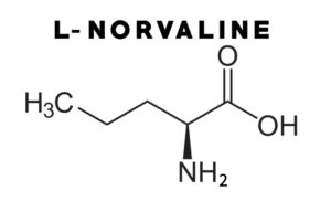 L-norvaline
