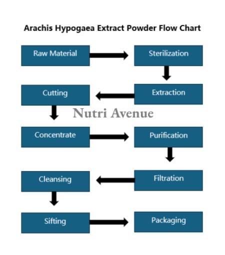 Arachis Hypogaea Extract Powder Manufacturing Flow Chart