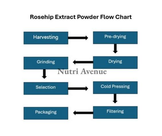 Rosehip Extract Powder Flow Chart