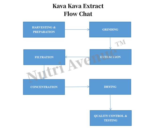 kava kava extract powder manufacturing flow chat