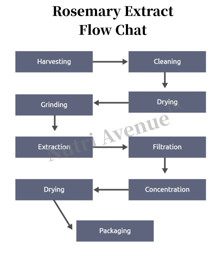 rosemary extract flow chat