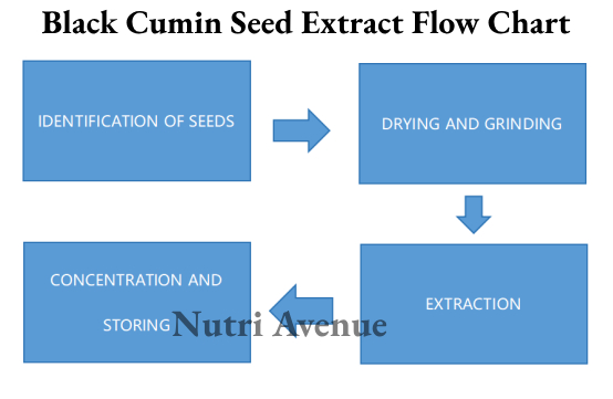 Black Cumin Seed Extract Powder Manufacturing Flow Chart-1