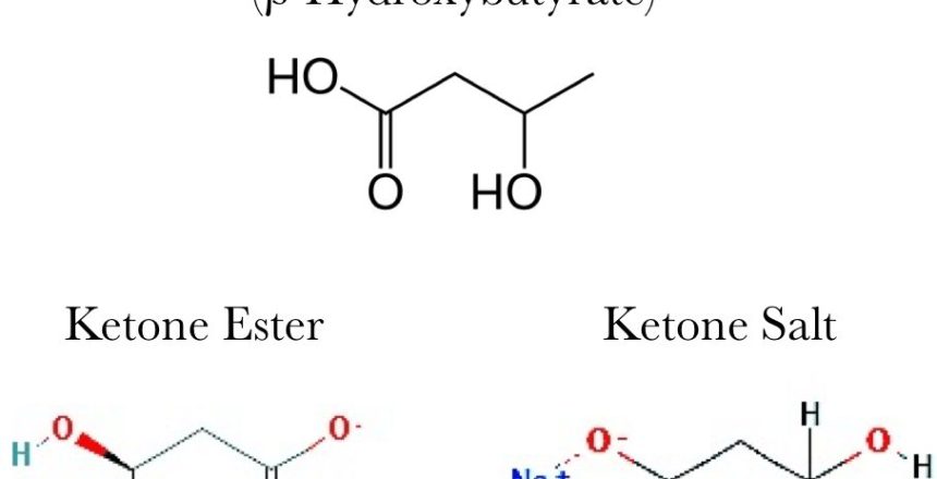 Ketone Ester Powder