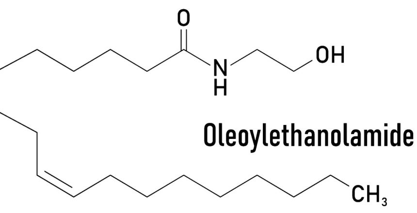 Oleoylethanolamide Powder Supplier