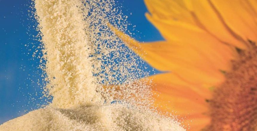 sunflower lecithin applications